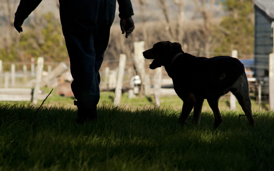 Spring Training Refresh: Reinforcing Communication After a Seasonal Break